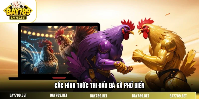 Các hình thức thi đấu đá gà phổ biến