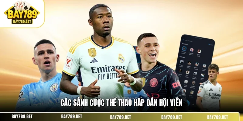 Các sảnh cược thể thao hấp dẫn hội viên