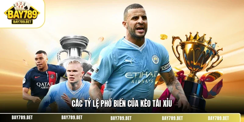 Kèo Tài Xỉu BAY789 – Bí Quyết Soi Kèo Chuẩn Xác Tại Nhà Cái 2 Các tỷ lệ phổ biến của kèo tài xỉu