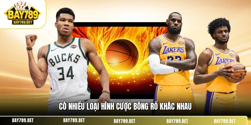 Có nhiều loại hình cược bóng rổ khác nhau