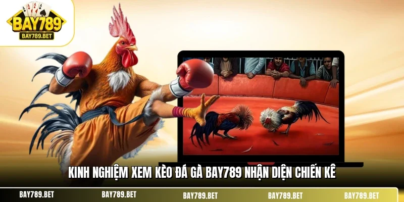 Kinh nghiệm xem kèo đá gà BAY789 nhận diện chiến kê