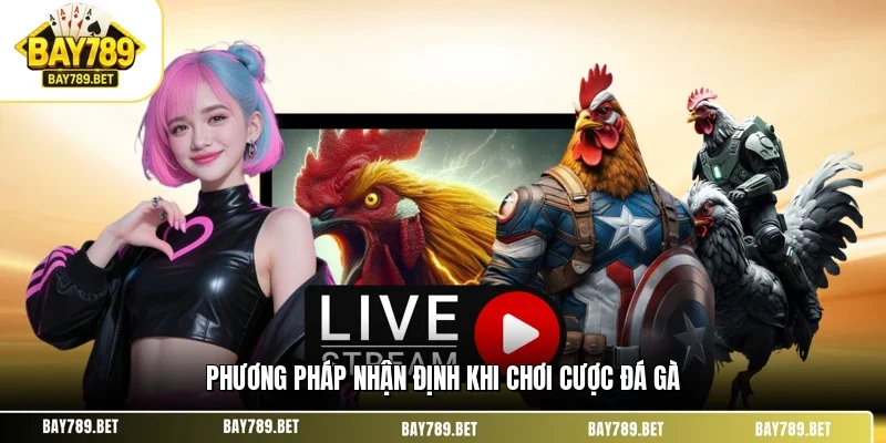 Phương pháp nhận định khi chơi cược đá gà