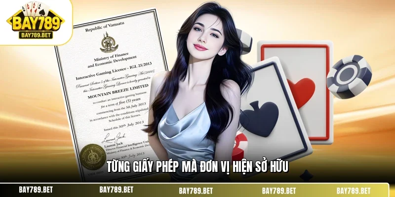 Từng giấy phép mà đơn vị hiện sở hữu