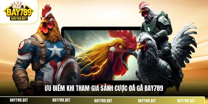 Ưu điểm khi tham gia sảnh cược đá gà BAY789